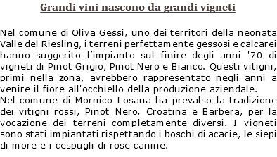 Grandi vini nascono da grandi vigneti Nel comune di Oliva Gessi, uno dei territori della neonata Valle del Riesling, i terreni perfettamente gessosi e calcarei hanno suggerito l’impianto sul finire degli anni '70 di vigneti di Pinot Grigio, Pinot Nero e Bianco. Questi vitigni, primi nella zona, avrebbero rappresentato negli anni a venire il fiore all'occhiello della produzione aziendale. Nel comune di Mornico Losana ha prevalso la tradizione dei vitigni rossi, Pinot Nero, Croatina e Barbera, per la vocazione dei terreni completamente diversi. I vigneti sono stati impiantati rispettando i boschi di acacie, le siepi di more e i cespugli di rose canine.