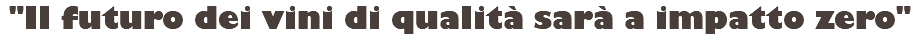 "Il futuro dei vini di qualità sarà a impatto zero"